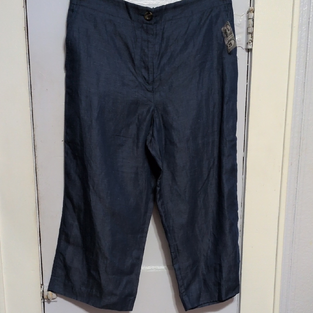 Ann Taylor Wide Leg Pants in Navy